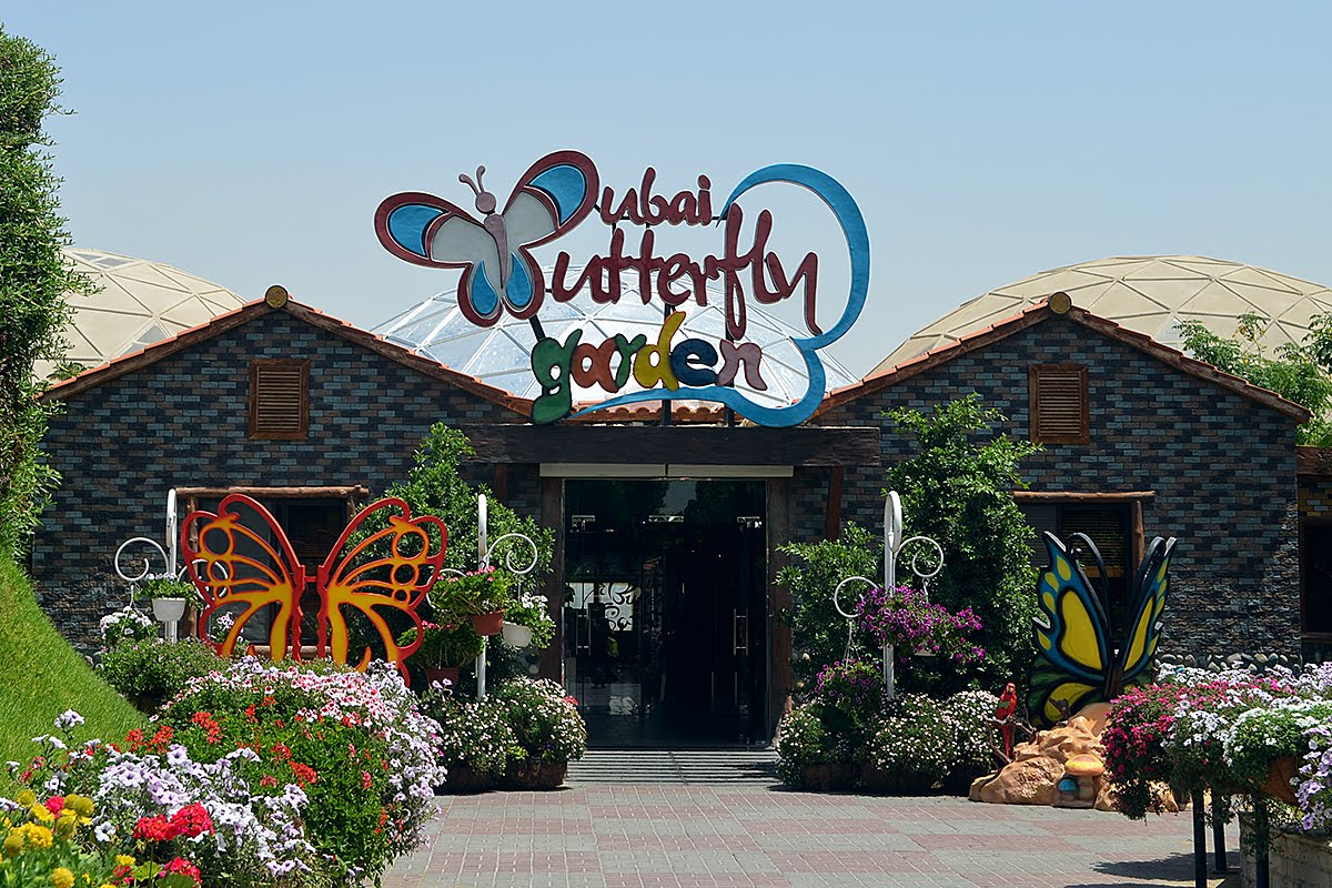 حديقة دبي للفراشات تفتتح أبوابها للجميع