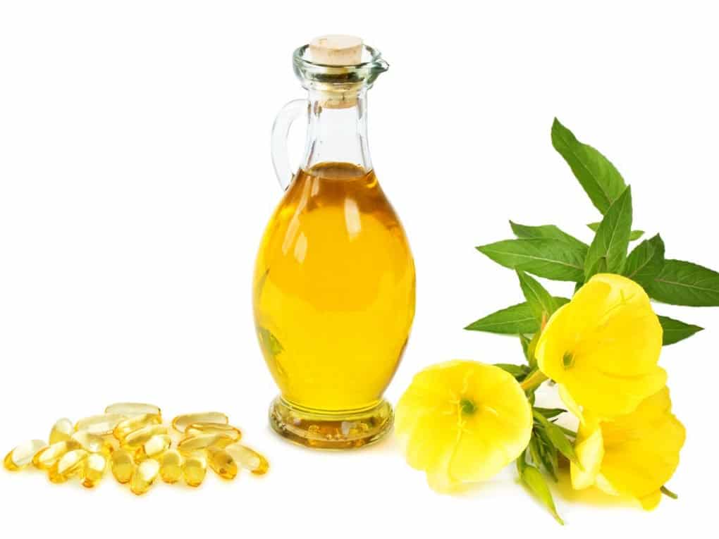 فوائد زهرة الربيع المسائية