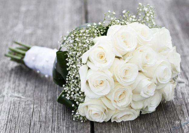 ورد أبيض ورد أبيض