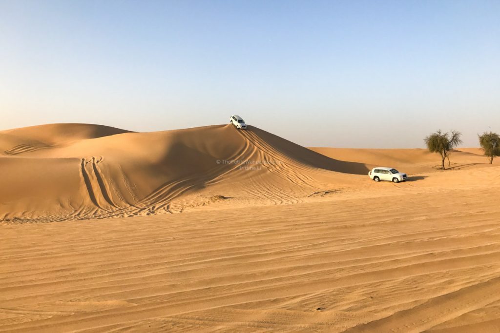 صور صحراء الإمارات 2020