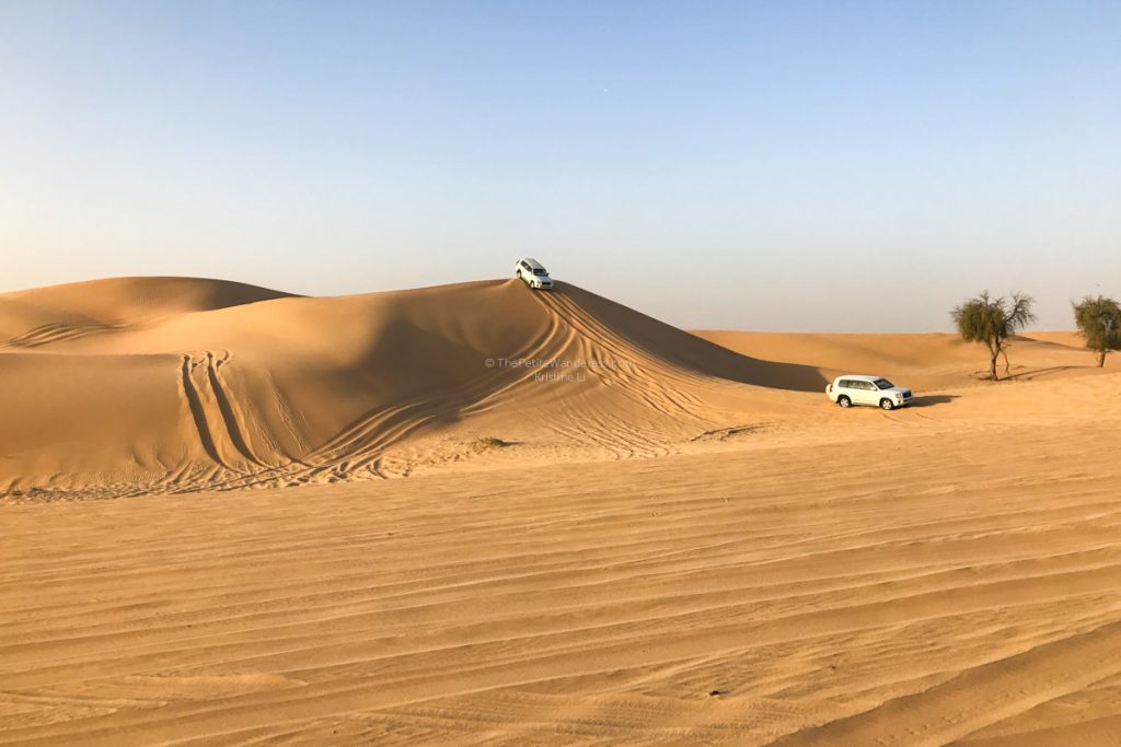 صور صحراء الإمارات 2020 صور صحراء الإمارات 2020