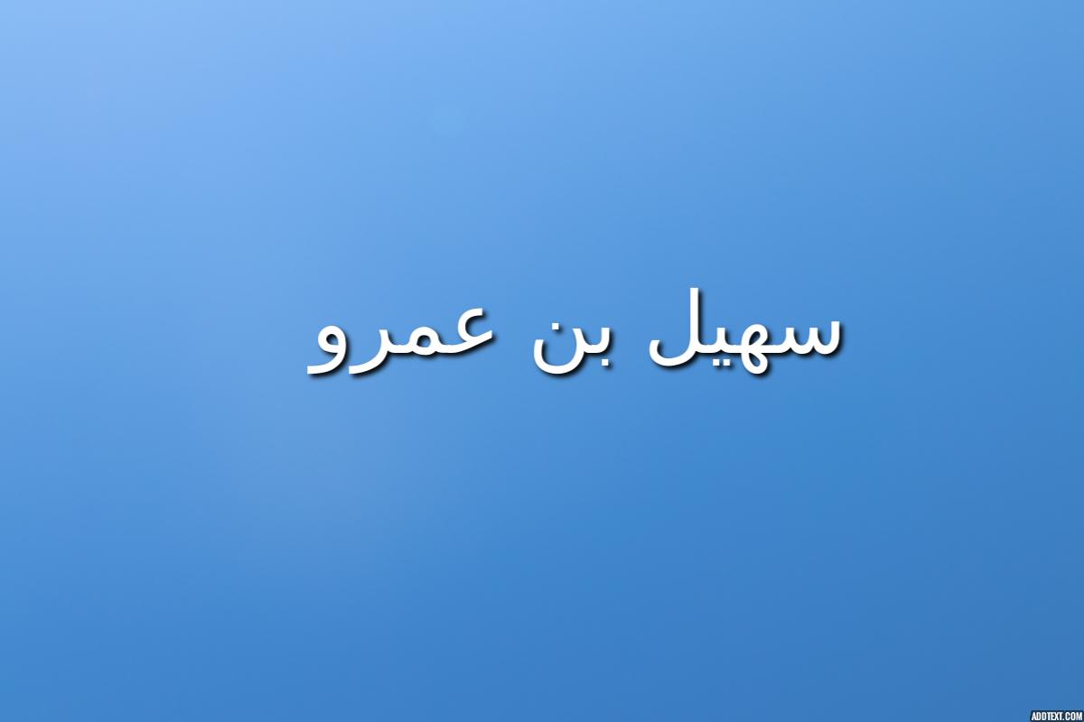 من هو سهيل بن عمرو