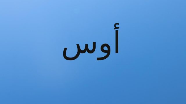معنى اسم أوس في اللغة العربية