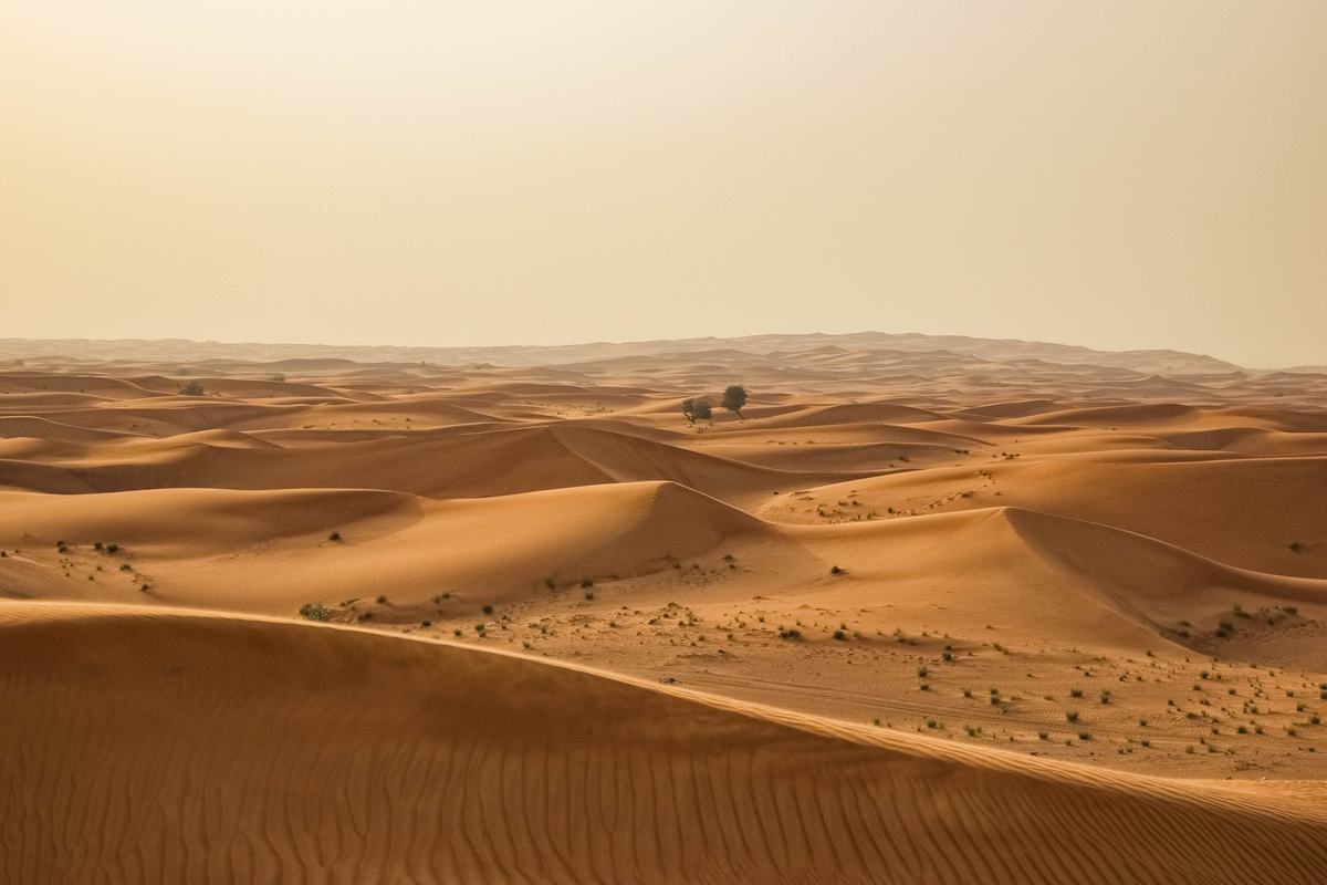 تفسير الصحراء في المنام