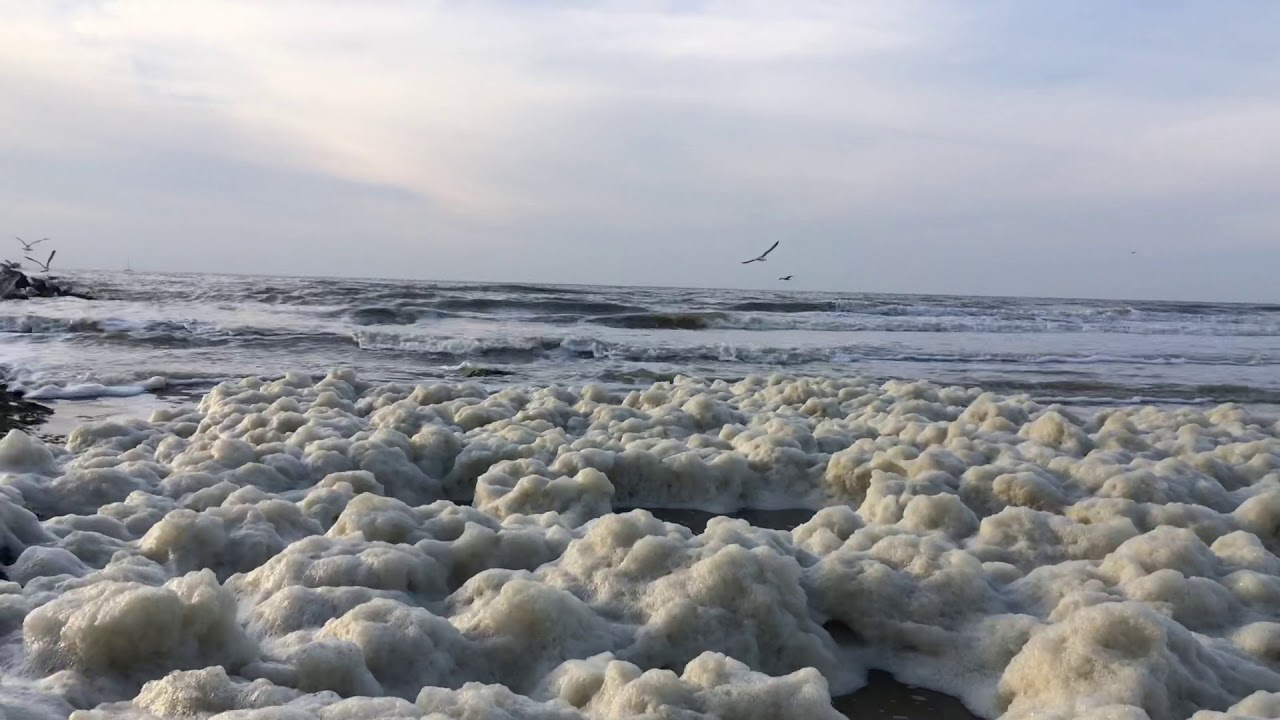 ما هي فوائد زبد البحر