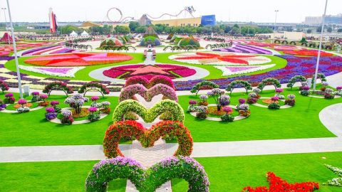 أجمل 5 حدائق عامة في دبي بالصور