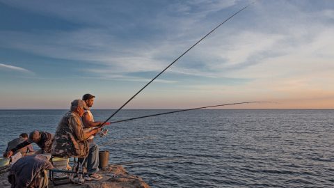 أفضل 3 أماكن لصيد السمك في الإمارات