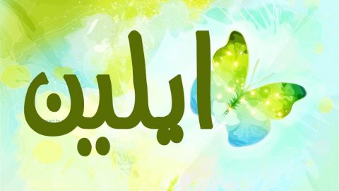 معنى اسم الين في المعجم العربي