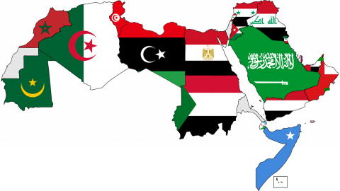 ما هي اكبر الدول العربية مساحة