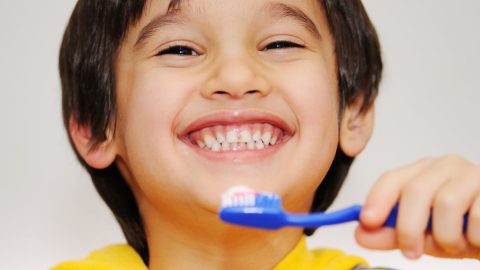الأسنان اللبنية أو أسنان الحليب بحسب ترتيب ظهورها صور