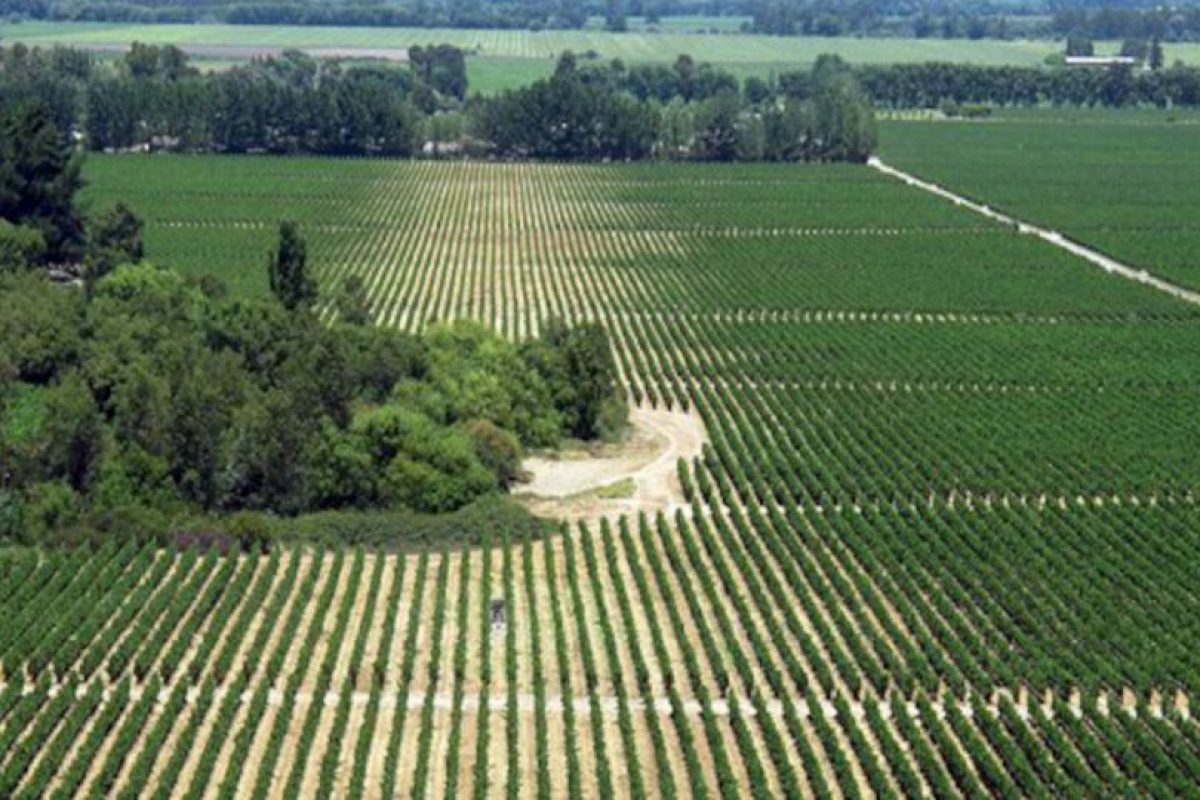 الفدان كم متر