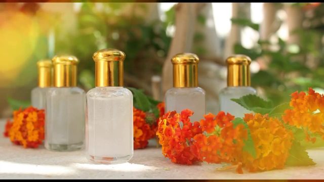 معلومات عن المسك