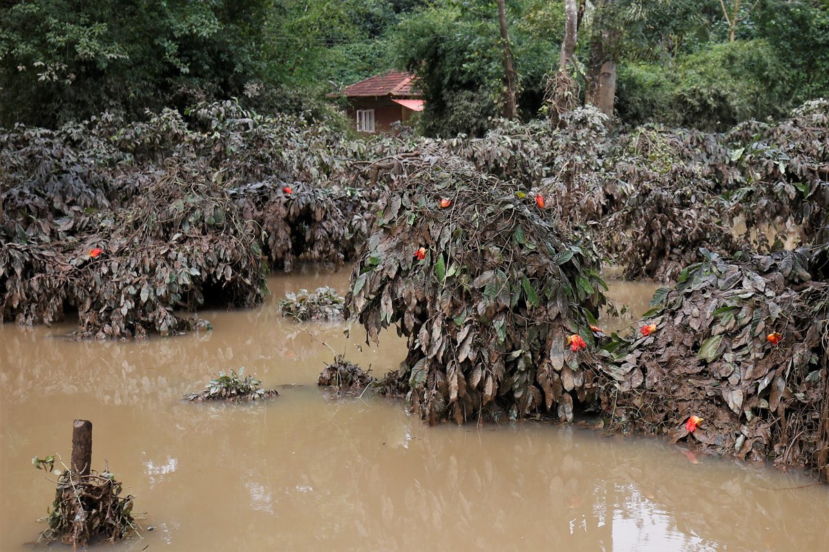 ما هي اضرار المطر الحمضي واهم اسبابه