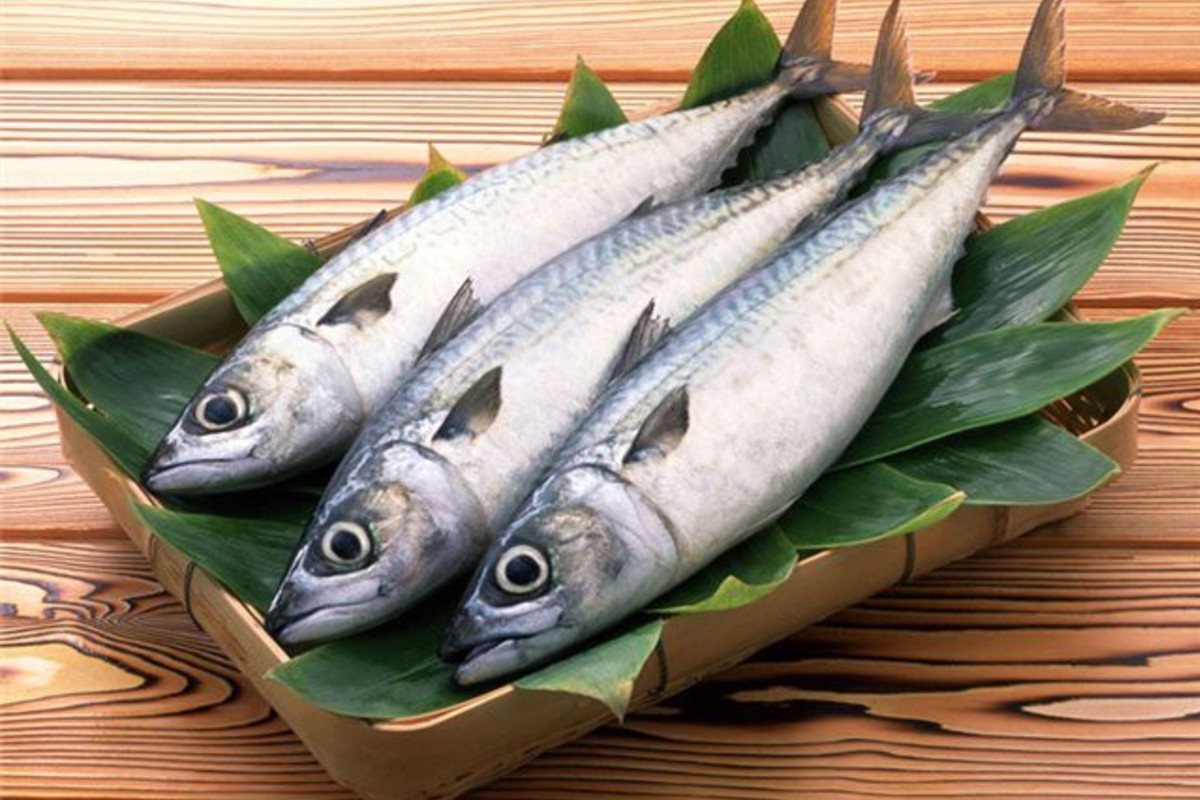 تفسير حلم السمك في المنام بالتفصيل