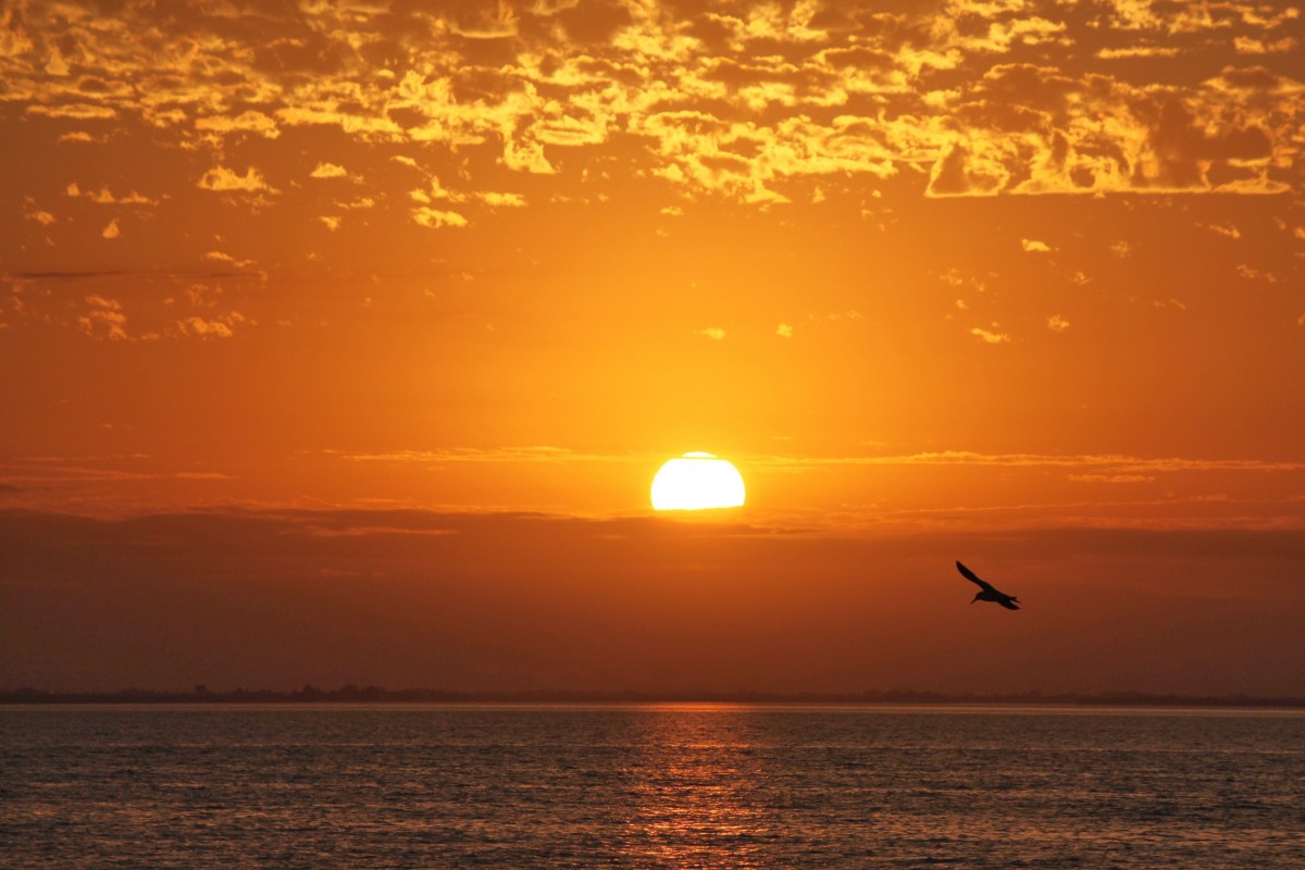 تفسير رؤية الشمس في المنام بمختلف الحالات