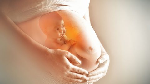 مراحل نمو الجنين في بطن امه بالاسابيع