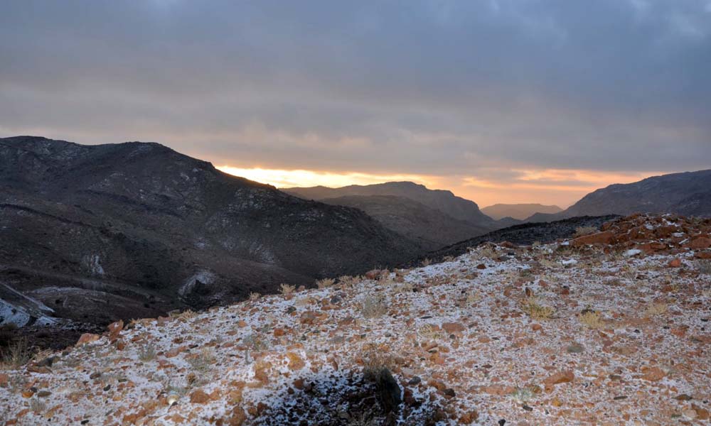 بحث عن جبل اللوز