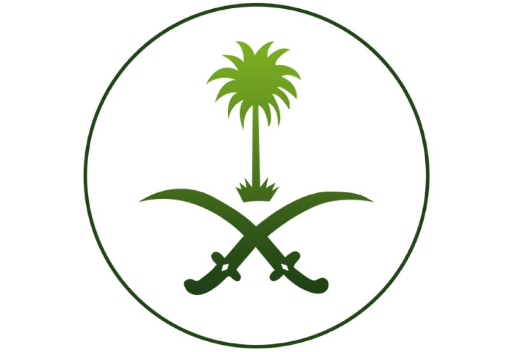 علم السعوديه بخلفية شفافه علم السعوديه بخلفية شفافه