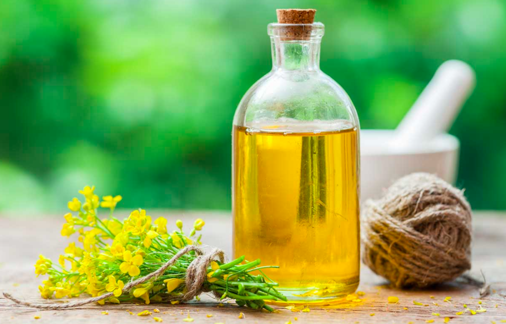 ما هو زيت الكانولا وفوائده