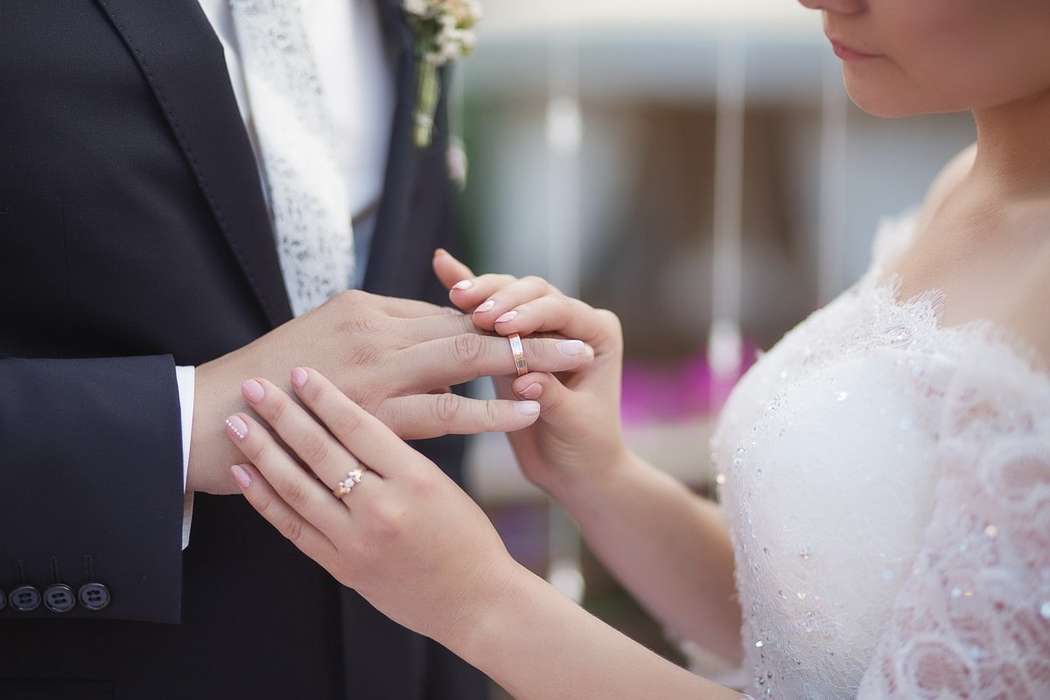 صور افراح صور افراح