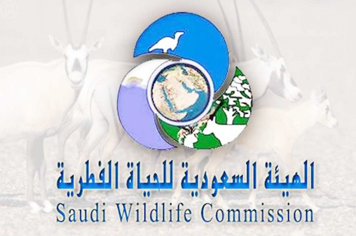 صور شعار الهيئة السعودية للحياة الفطرية جديدة صور شعار الهيئة السعودية للحياة الفطرية جديدة