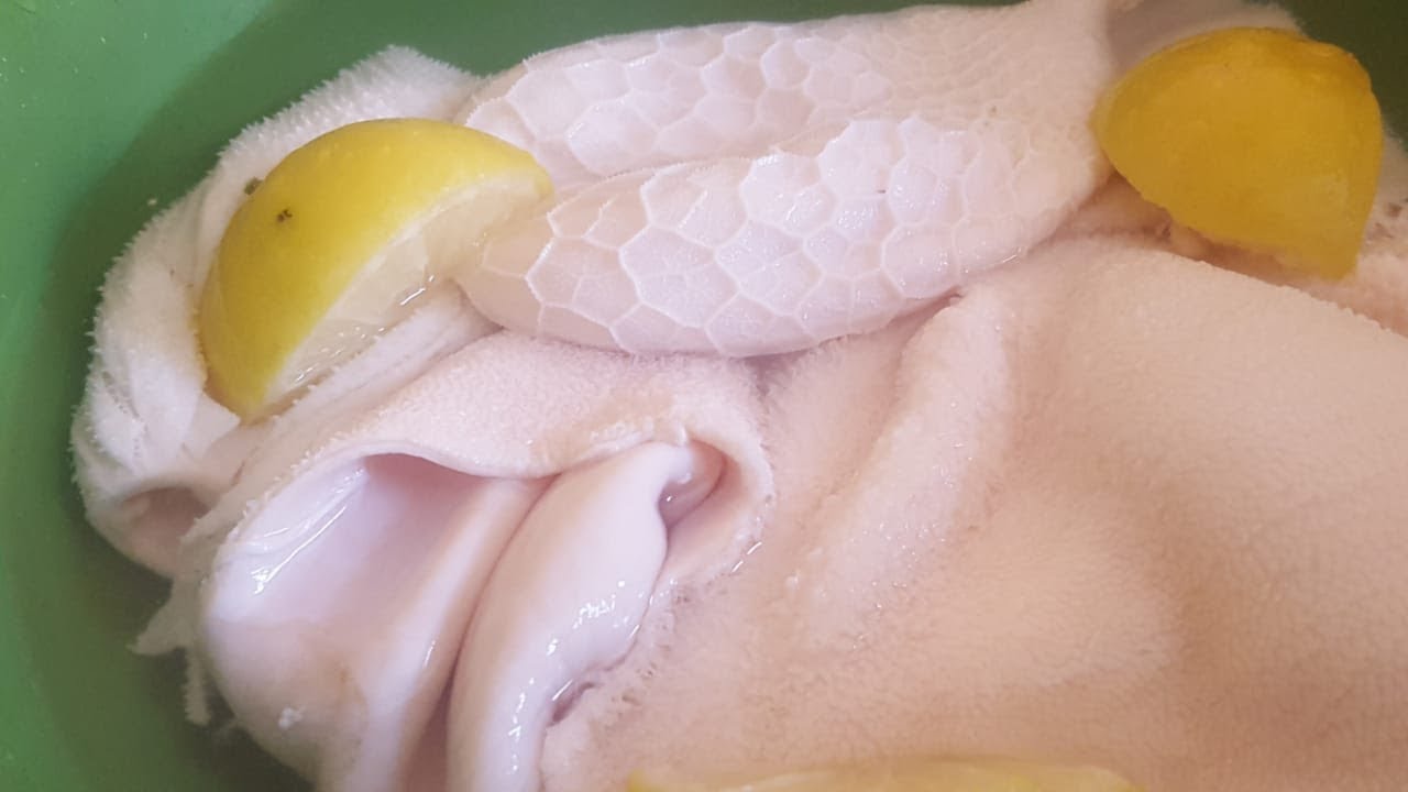 طريقة تنظيف الكرشة بخطوات سهلة