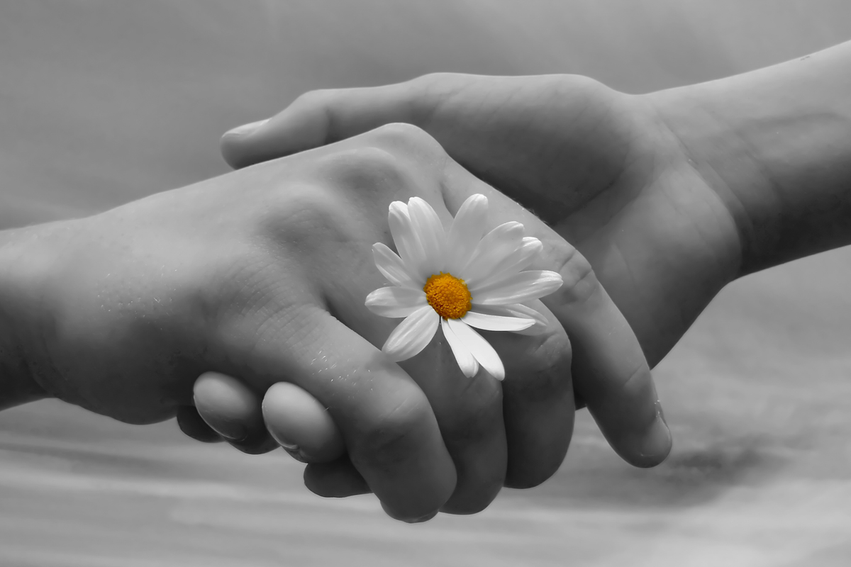 فوائد التسامح