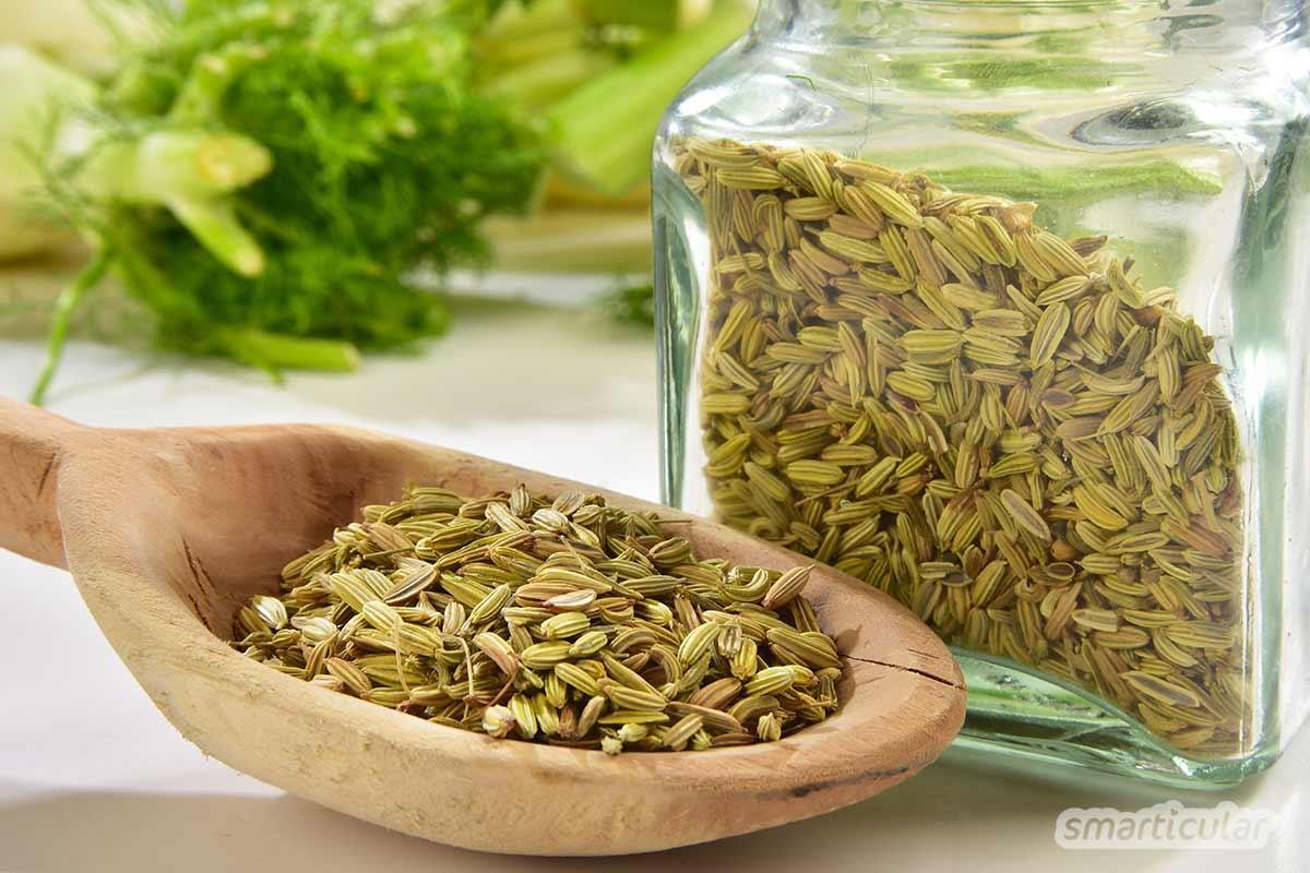 فوائد البسباس وأضراره