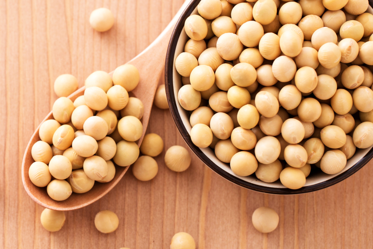 ما هي فوائد الصويا للجسم والصحة