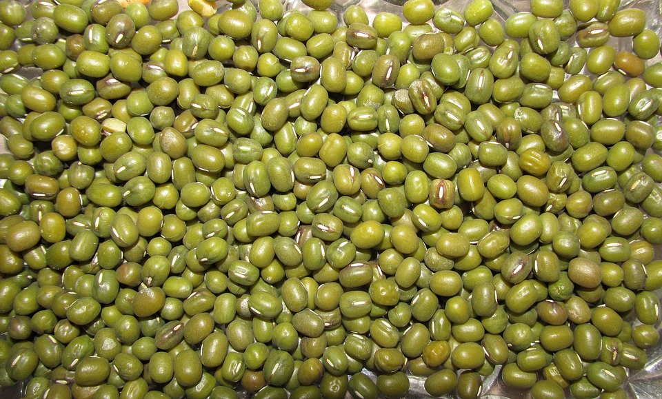 فوائد الهريس لجسم الإنسان