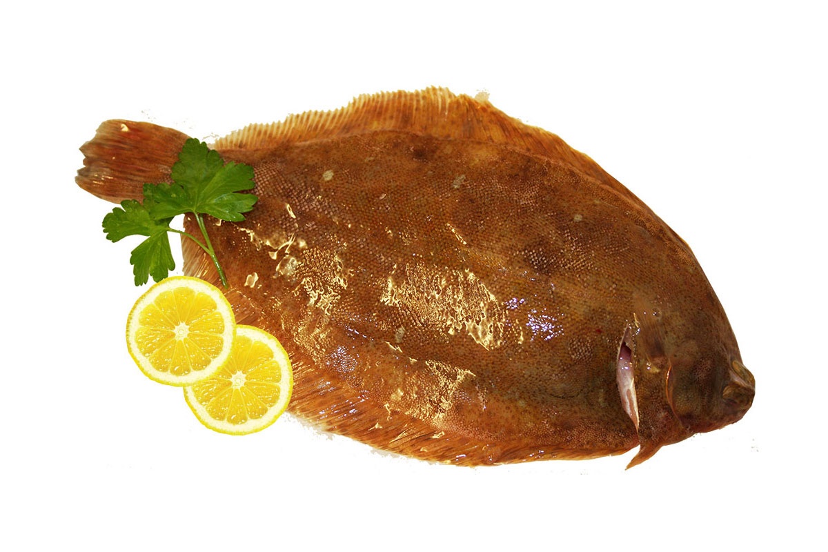 أهم فوائد سمك موسى الصحية