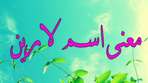 معنى اسم لارين في المعجم العربي