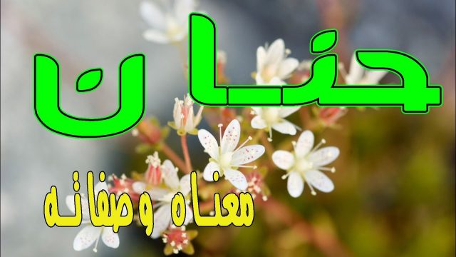 معنى اسم حنان وصفات حاملة الاسم