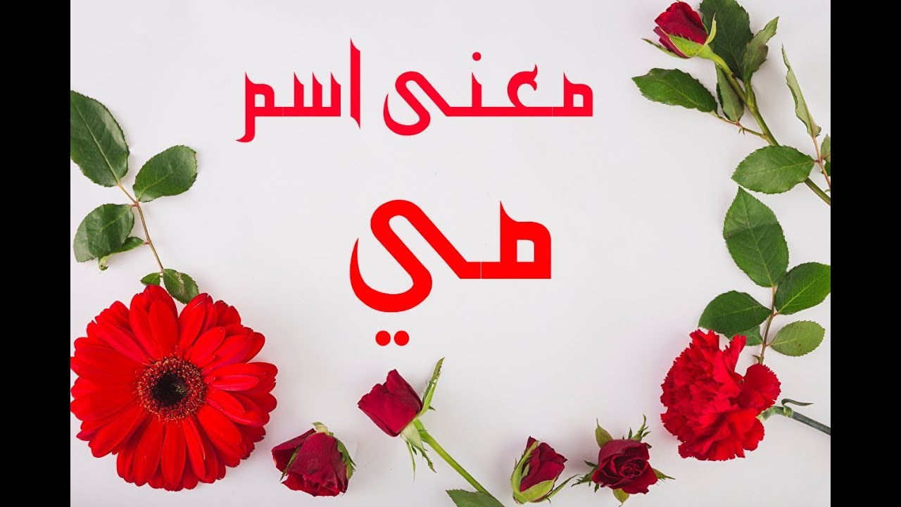 معنى اسم مي في المعجم الوسيط