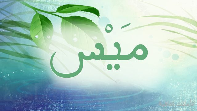 معنى اسم ميس في المعجم العربي