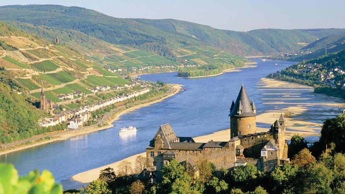 معلومات حول نهر الراين