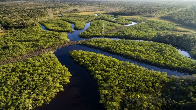 نهر الامازون اين يقع - موسوعة