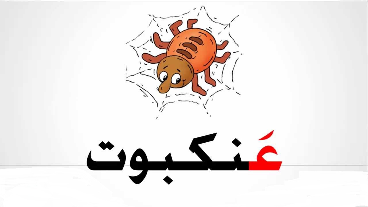 اسم حيوان بحرف ع