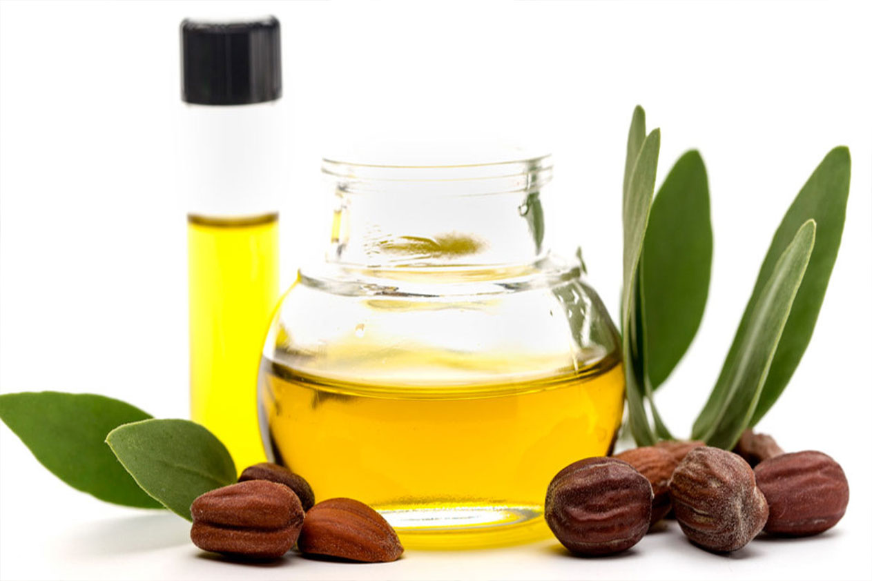 وصفة زيت الجوجوبا وصفة زيت الجوجوبا