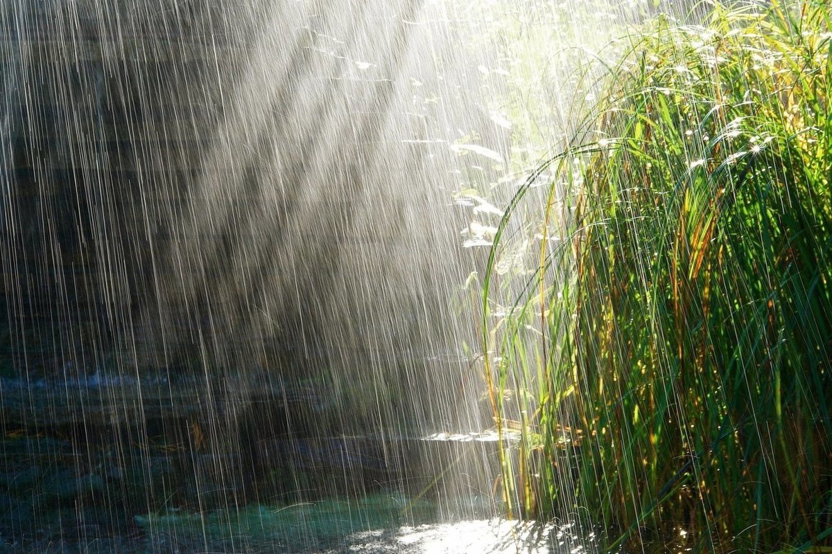 عبارات عن المطر وصور