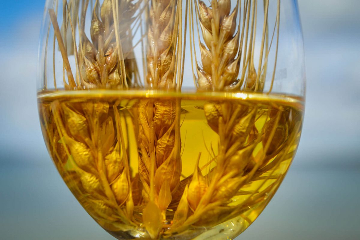 فوائد شرب ماء الشعير يوميا