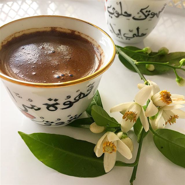 اجمل فنجان قهوة الصباح اجمل فنجان قهوة الصباح