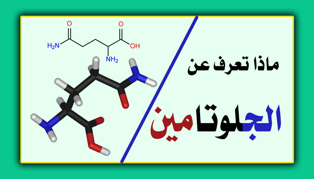 طريقة استخدام الجلوتامين