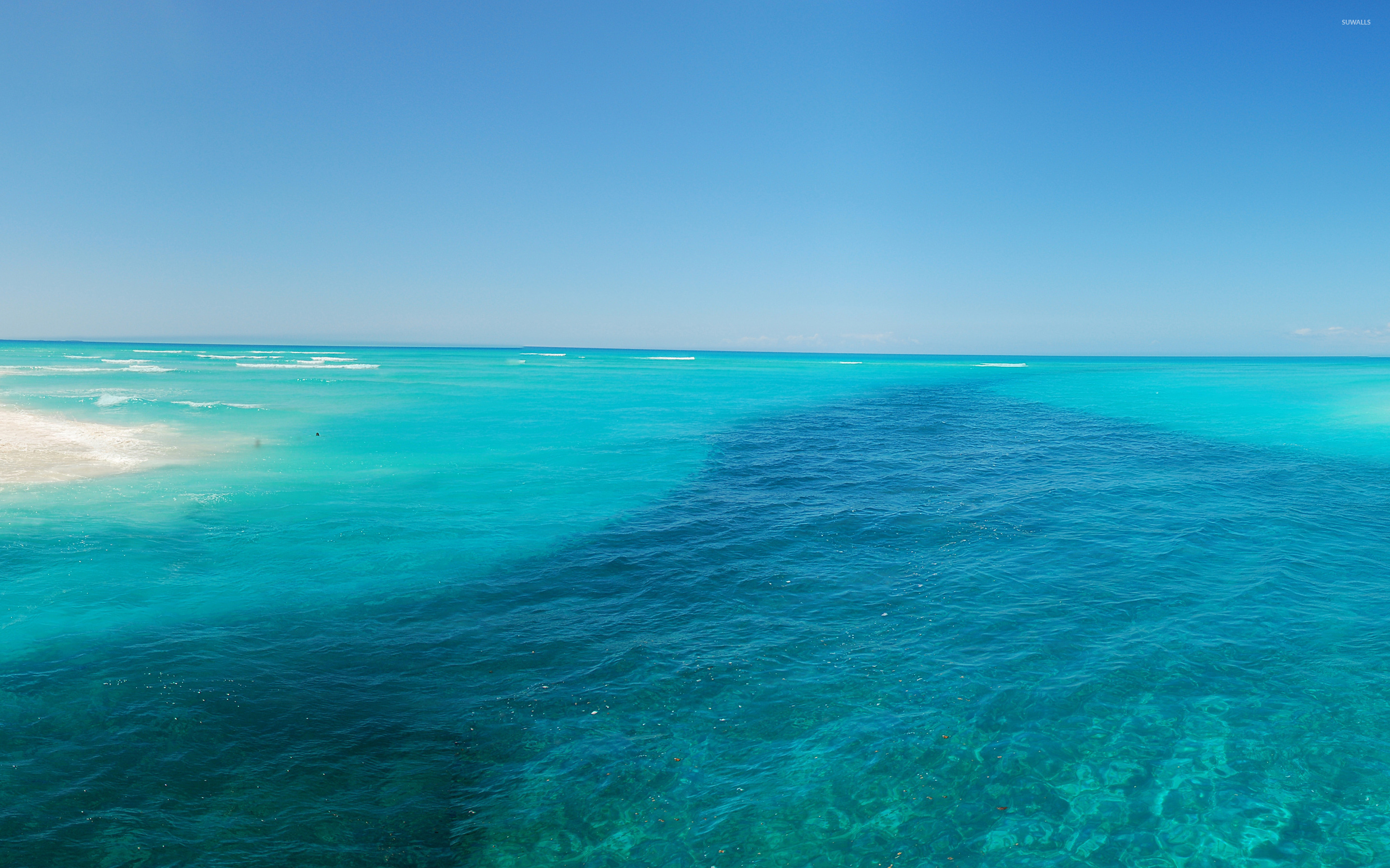 اللون الفيروزي اللون الفيروزي