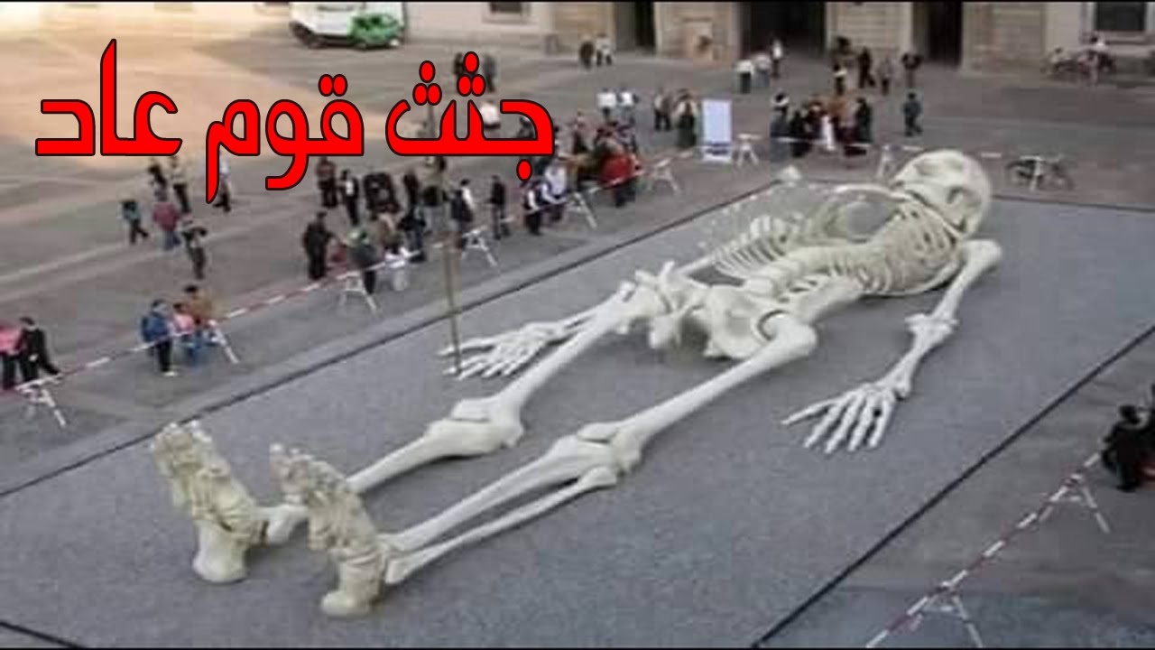 بالصور أجسام قوم عاد وثمود