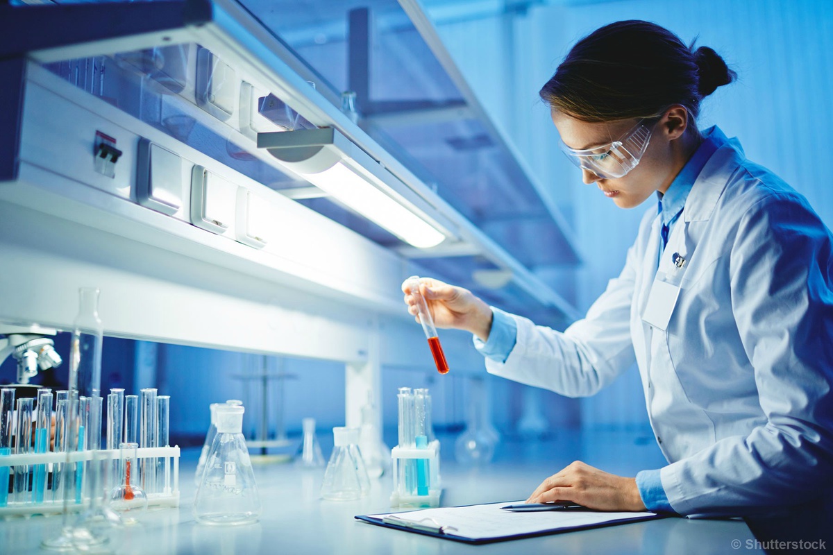 تعريف مقدمة البحث العلمي