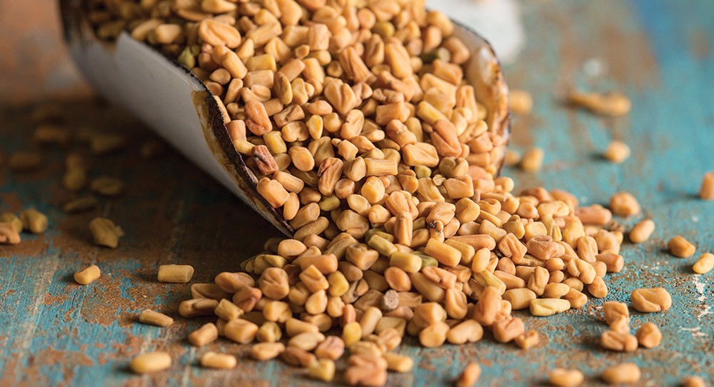 ما هي فوائد حبوب الحلبه للجسم