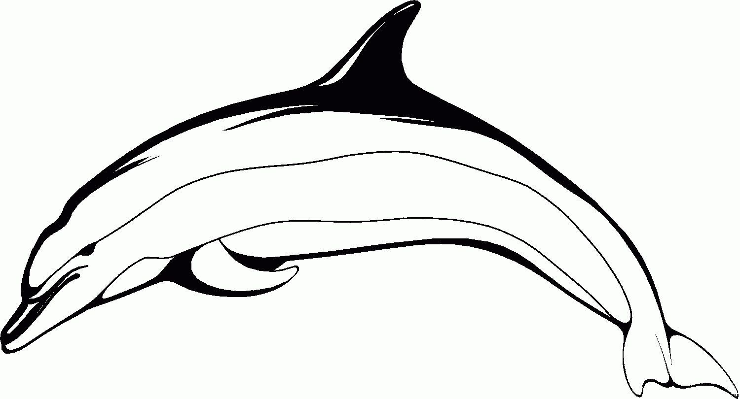 رسومات دولفين للتلوين رسومات دولفين للتلوين
