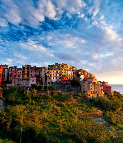 سردينيا سردينيا