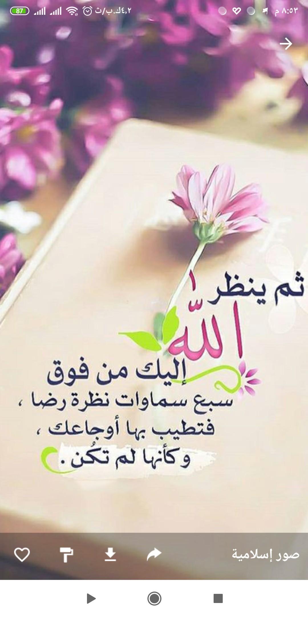 صوردينيه روعه صوردينيه روعه